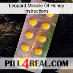 Leopard Miracle Of Honey Instructions new11